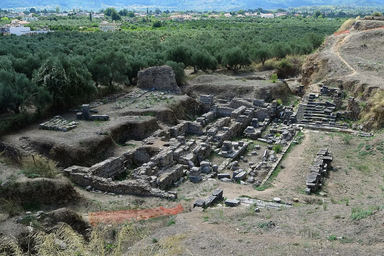 Olive groves beside the ancient theatre of Sparta