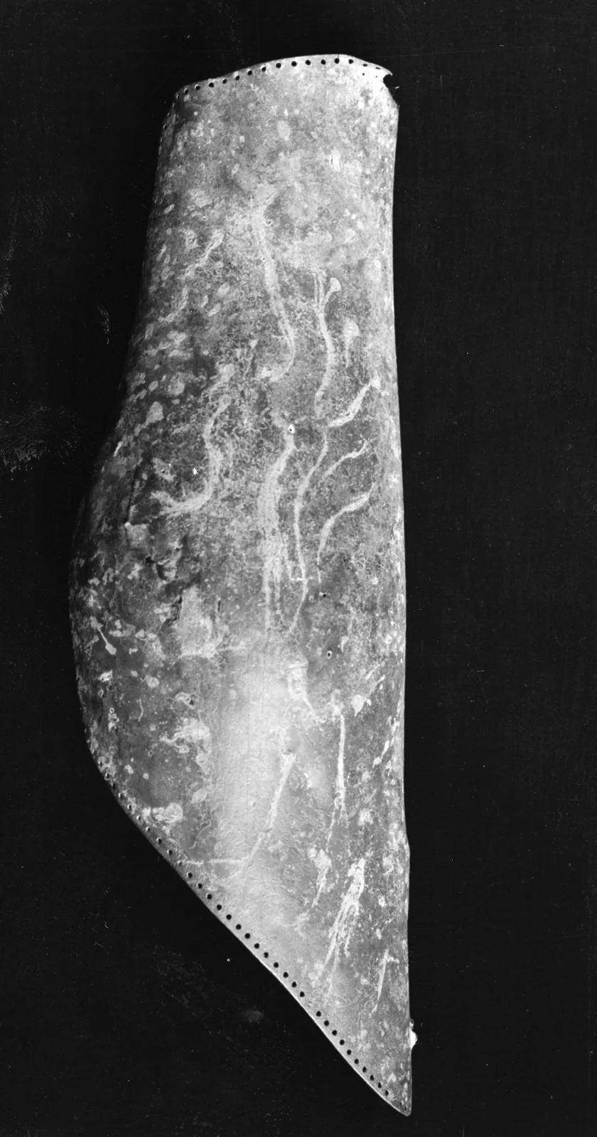 A bronze shin guard. Photograph or reproduction of an ancient artifact.