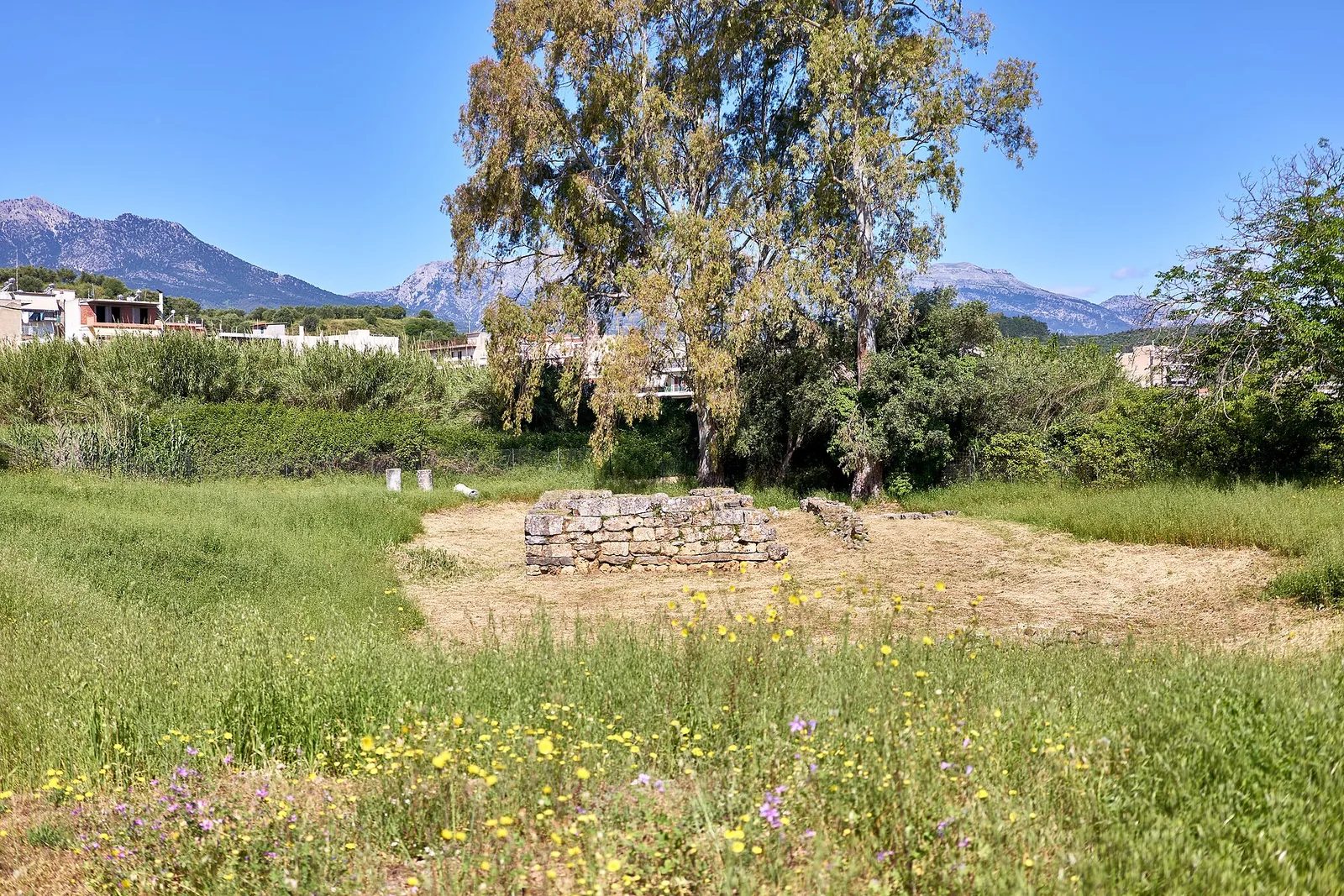The sanctuary of Artemis Orthia. Photograph of the surviving site or modern landscape.
