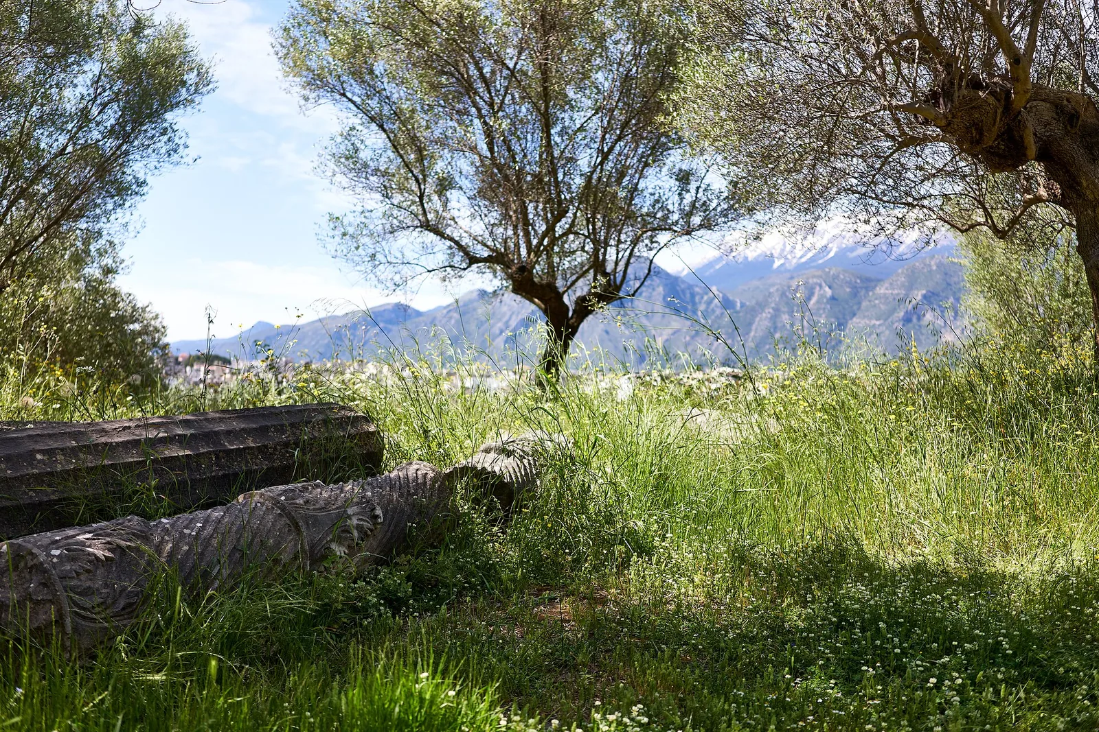 Sparta beneath Taygetus. Photograph of the surviving site or modern landscape.