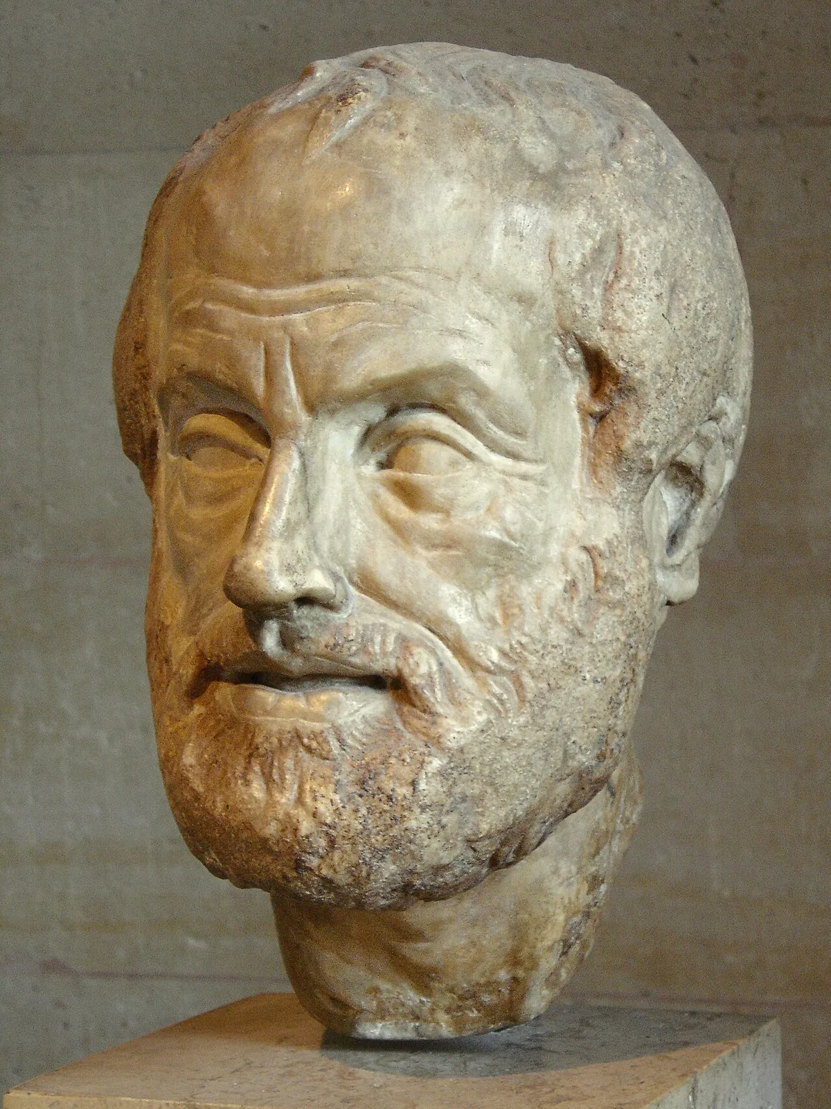 Roman portrait of Aristotle
